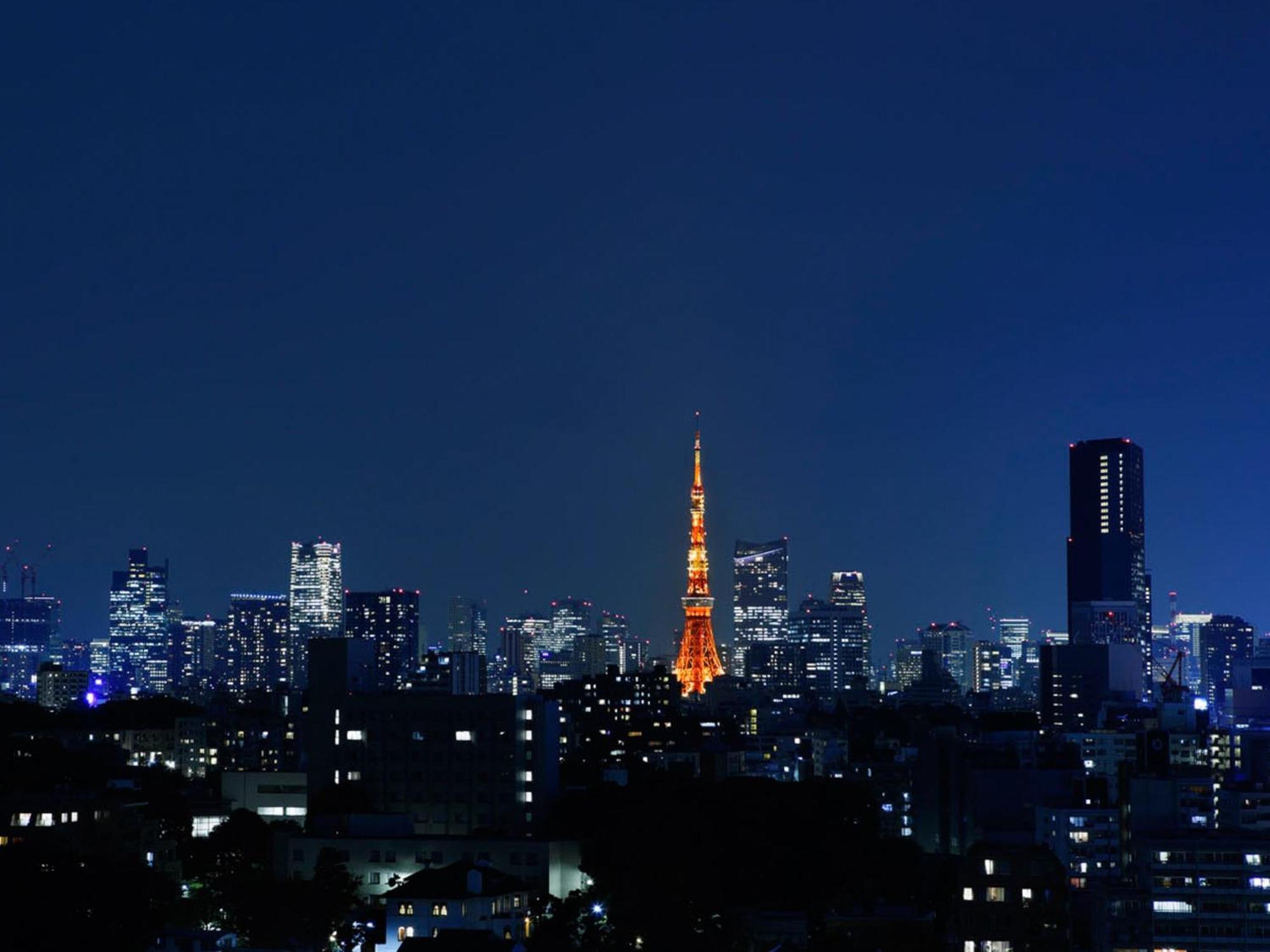 Grand Prince Hotel Takanawa Токио Номер фото